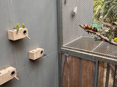 -正佳雨林生态植物园