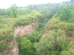 -磬锤峰森林公园