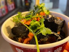 -黑色经典臭豆腐·湖南特产(坡子街店)