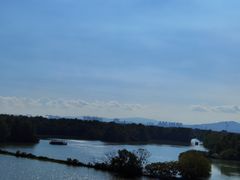 -大湾区中央湿地公园