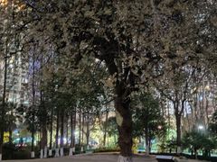 -苏州河梦清园环保主题公园