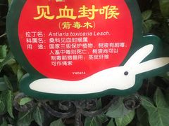 -呀诺达热带雨林