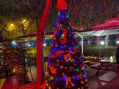 -Pistolera Mexican Cantina女枪手墨西哥餐厅(碧云路店)