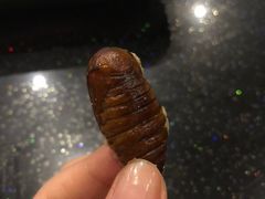 -胶东海鲜大排档(北太平庄店)