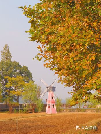 抓住武汉暖和日子的小尾巴来秋游啦