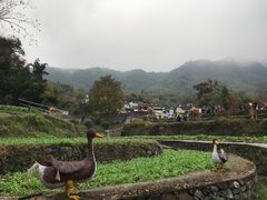 -塔川景区
