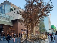 -莆田餐厅PUTIEN(深圳湾万象城家宴店)