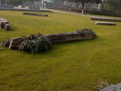 -大明宫国家遗址公园·御道广场