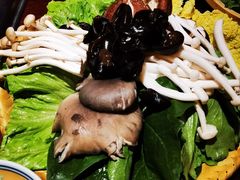 -大隐·成都火锅Bistro(合生麒麟新天地店)