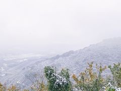-杭州半山国家森林公园
