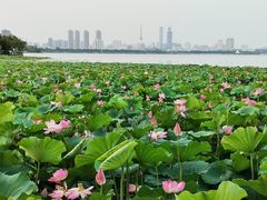 -云龙湖旅游景区
