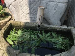-天怡·鱼工厂(临江店)