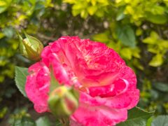 -人民公园(罗湖区)