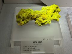 -湖南省地质博物馆