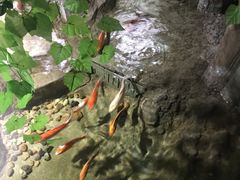-临沂极地海洋王国
