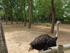 -大连森林动物园