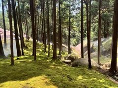 -玉苍山国家森林公园