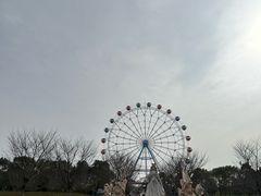 -云幽谷旅游区