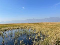 -野鸭湖国家湿地公园