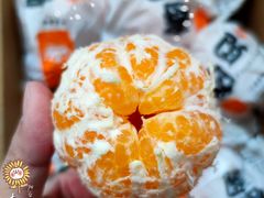 -麦德龙(嘉定店)