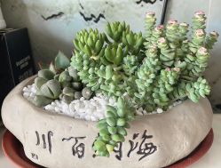 -HEYAN荷妍专业脱毛连锁机构