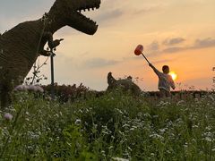 -东方绿舟景区