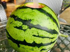 -大理老字号·舟渔的鱼野生菌海景餐厅(双廊店)