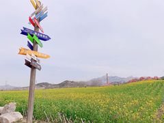 -西海岸生态观光园