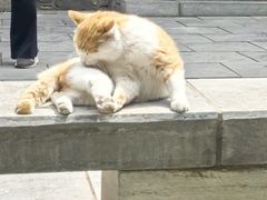 -四门塔风景区