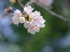 -静安雕塑公园