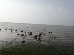 -鄱阳湖国家湿地公园