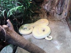 -上海大自然野生昆虫馆(东方明珠·爬宠昆虫探索中心)
