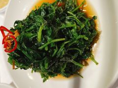 南京菊花脑-民国红公馆·秦淮八艳(夫子庙店)