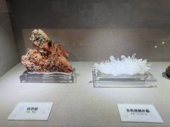 -陕西自然博物馆