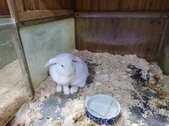 -上海大自然野生昆虫馆(东方明珠·爬宠昆虫探索中心)