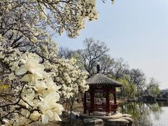 -八大处公园