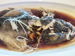 -聚鑫阁江浙菜·非遗传承技艺(青村帝华园店)