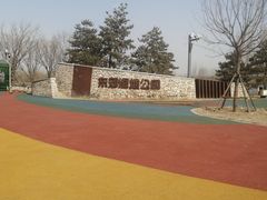 -东郊湿地公园