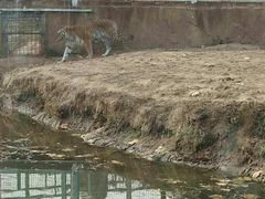 -临沂动植物园
