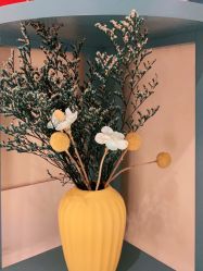 -薇兰专业脱毛连锁机构