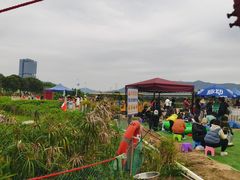 -光明小镇欢乐田园