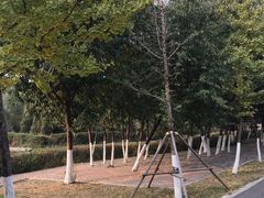 -长白岛森林公园