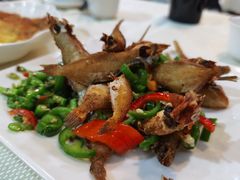-蛇口康乐快餐鱼仔档(翠苑小区店)