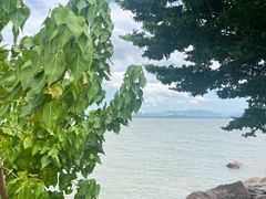 -深圳湾公园(南山区)