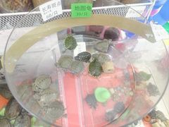 -禾斗海鲜自助(市南银座店)