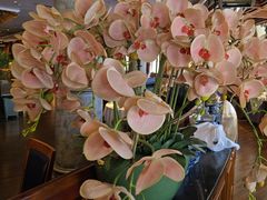 -八府香鸭·啫啫煲(华山路店)