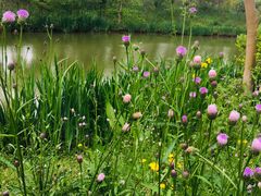 -白鹭湾湿地公园