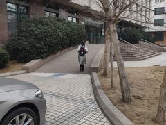 -青岛市图书馆
