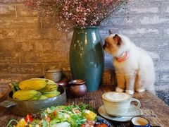 -老屋咖啡
