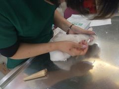 -瑞鹏宠物医院·微创内窥镜·骨外科·牙科(翠竹分院)